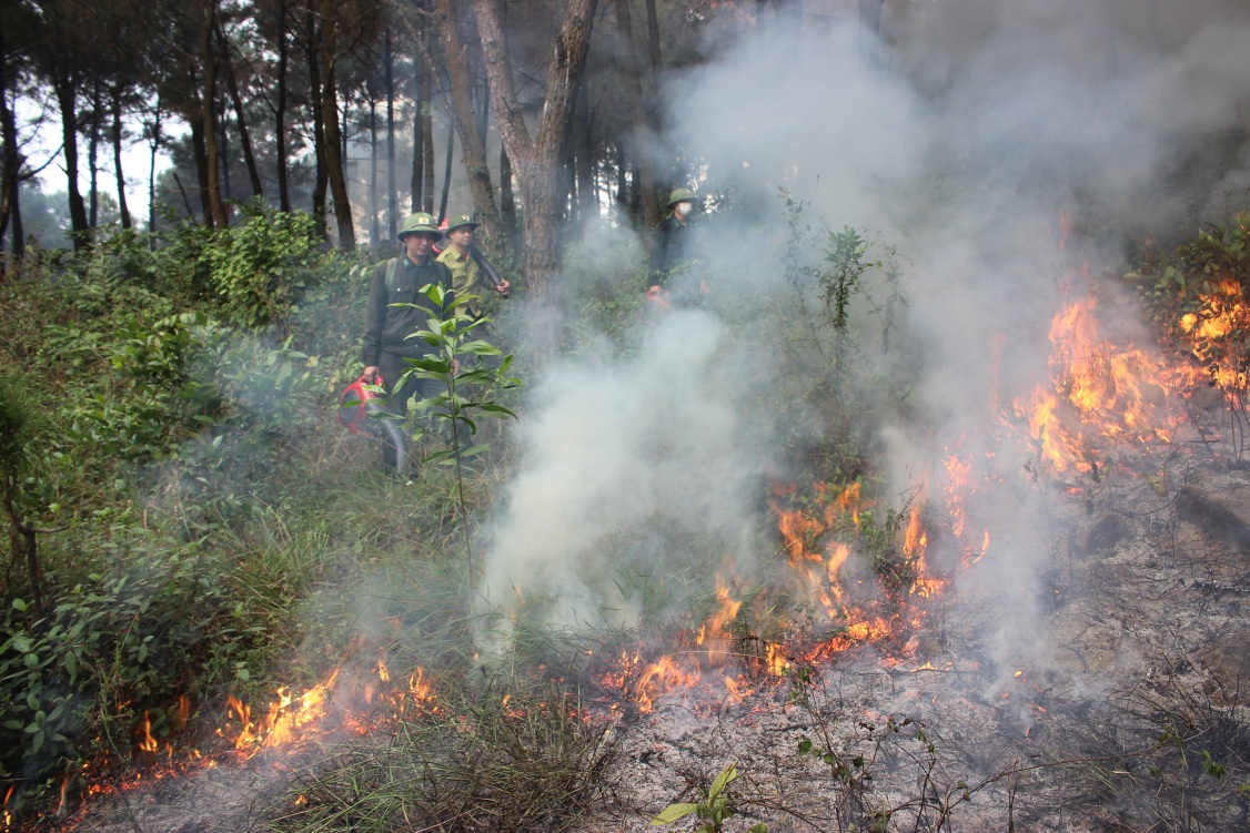 Ban quản lý Rừng phòng hộ thị xã Nghi Sơn, tỉnh Thanh Hóa chủ động triển khai Phương án Phòng cháy, chữa cháy rừng năm 2023.