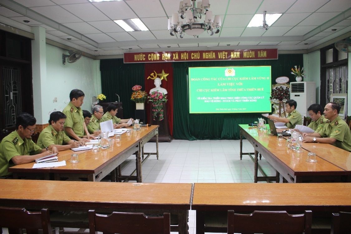 Kiểm tra công tác quản lý bảo vệ rừng, phòng cháy, chữa cháy rừng tại Chi cục Kiểm lâm tỉnh Thừa Thiên Huế